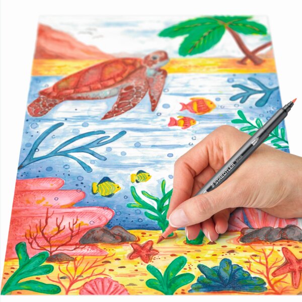 STAEDLER Feutre double pointe Asie, étui en carton de 6