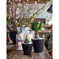 tera Pflanzgefäss "Hoop", Durchmesser: 160...