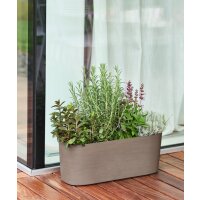 tera Blumenkasten "Paros", Breite: 500 mm, sand