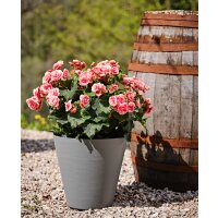 tera Pflanzgefäss "Hoop", Durchmesser: 160...