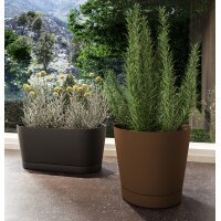 tera Blumenkasten "Vega", Breite: 400 mm, blush