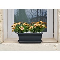 tera Blumenkasten "Nara", Breite: 400 mm, terrakotta