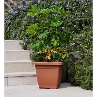 tera Pflanzkübel "Nazca", Breite: 200 mm,...