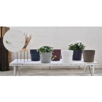 tera Pflanzgefäss "Andromeda",...