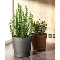 tera Pflanzgefäss "Orione", Durchmesser:...