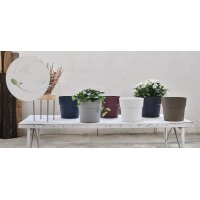 tera Pflanzgefäss "Andromeda",...