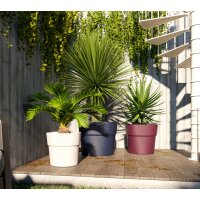 tera Pot de fleurs Andromeda, diamètre: 280 mm, fog grey