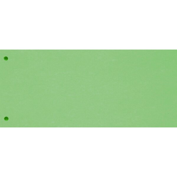 BIELLA Trennstreifen Karton 2 Loch 19919030U gr&uuml;n, 24x10.5cm 100 Stk.
