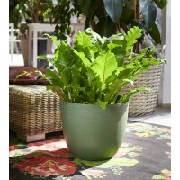 tera Pflanzgefäss "Over", Durchmesser: 480...