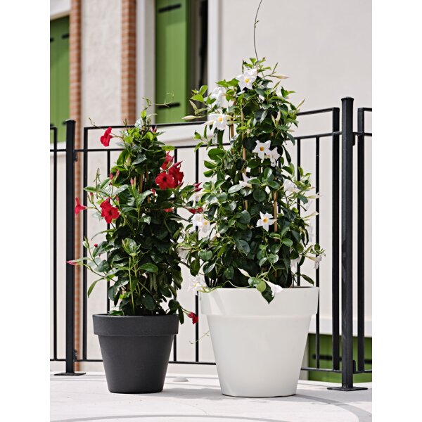 tera Pflanzgefäss "Standard One 40", antracite