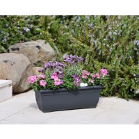 tera Soucoupe XXL Tora, largeur: 570 mm, terracotta