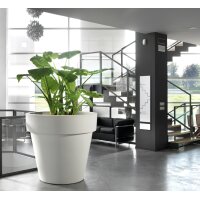 tera Pot de fleurs Standard One 60, antracite