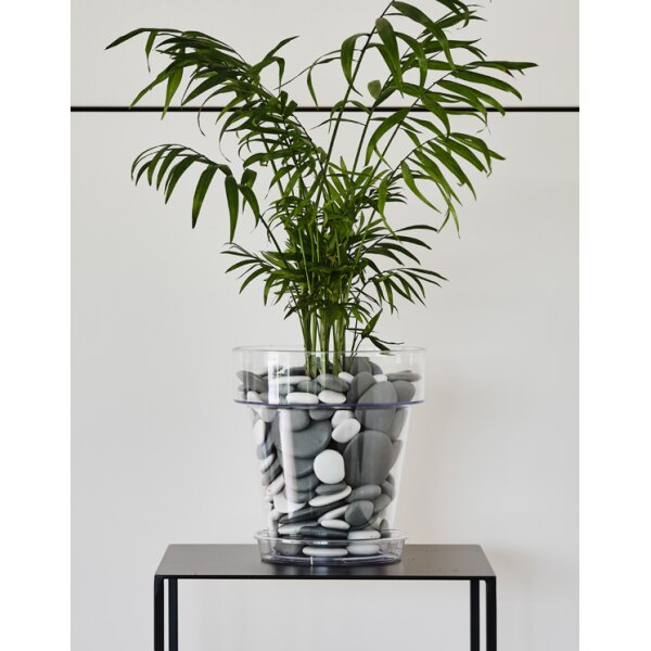 tera Pot de fleurs Porto 16, transparent