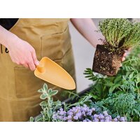 tera Garten- Blumenkelle "Gaia 02", gross, curry