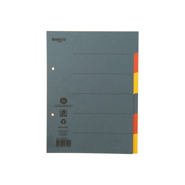 BIELLA Kartonregister A5 46052600U pastell 6-teilig