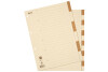 BIELLA Répertoires carton brun A4 46444100U 12 pcs.