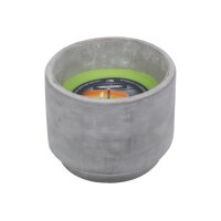 STEINHART Outdoor Kerze Cleo 104x125mm 2019506000 limette