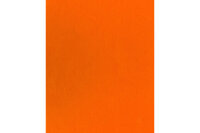 I AM CREATIVE Feutre bricolage 20x30cmx1mm 4102.03 orange