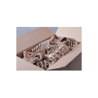 HSM Perforateur de carton pour calage ProfiPack P425