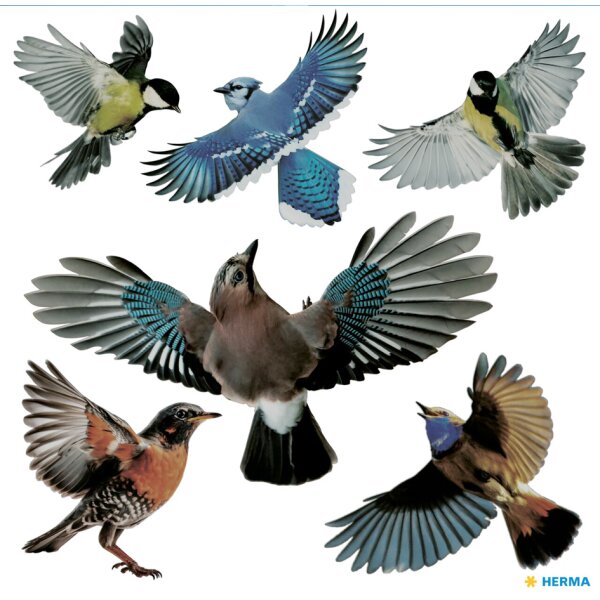 HERMA Etiquette de signalisation oiseaux, multicolore