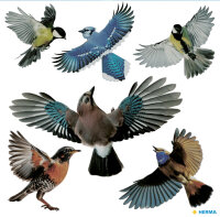 HERMA Etiquette de signalisation oiseaux, multicolore