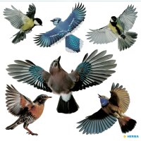 HERMA Etiquette de signalisation oiseaux, multicolore