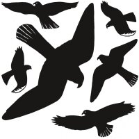 HERMA Etiquette de signalisation oiseaux, multicolore