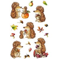 HERMA Sticker DECOR Les petits de la forêt