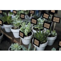 HERMA Étiquette pour la maison HOME silphie, 76 x 35 mm