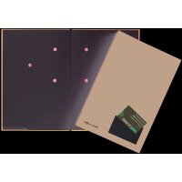 PAGNA parapheur Color, format A4, 20 compartiments, vert