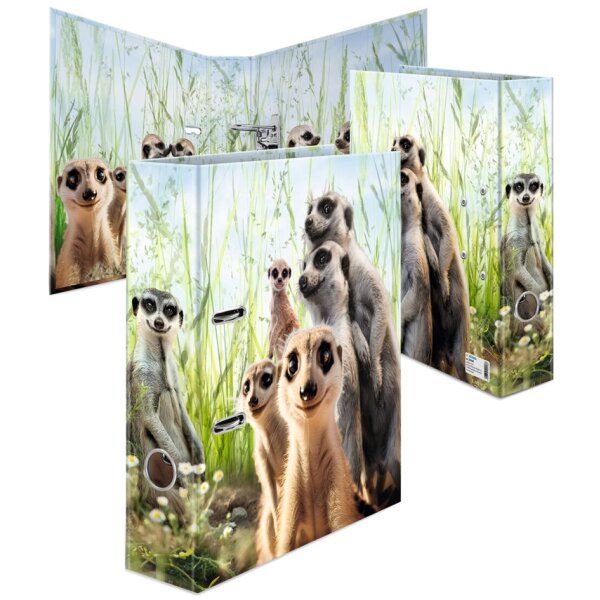 HERMA Classeur à motifs Suricates, A4, largeur dos: 70 mm