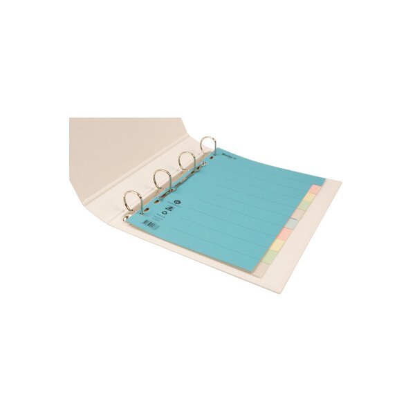 BIELLA Kartonregister A4 46141000U bunt 10-teilig