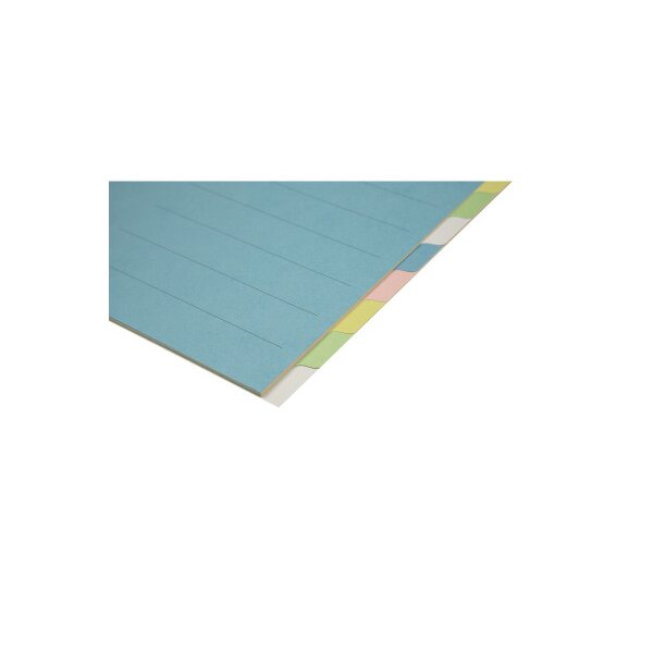 BIELLA Kartonregister A4 46141000U bunt 10-teilig