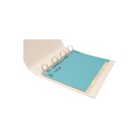 BIELLA Kartonregister A4 46141000U bunt 10-teilig