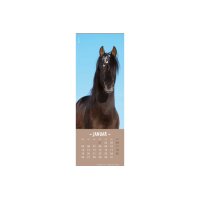 HEYE Lesezeichen-Kal. Pferde 2026 21475+26 DE 6x18cm