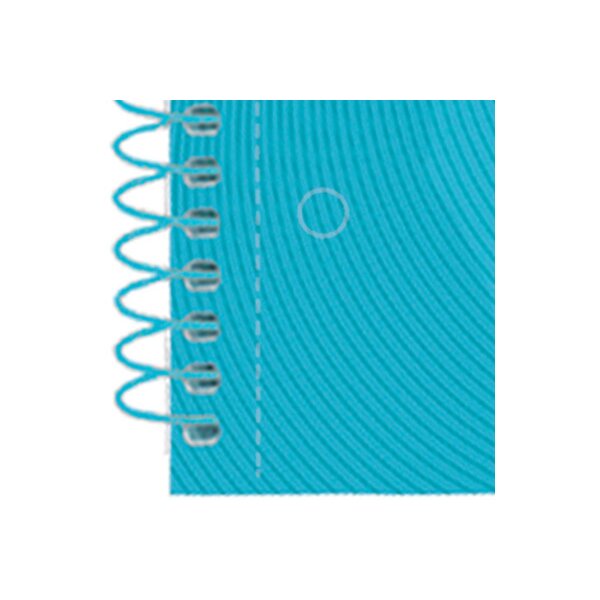OXFORD Carnet à spirales carreaux A4+ 400107010 bleu pastelle 80 feuilles