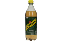 SCHWEPPES Ginger Ale Pet 2368 50 cl, 6 Stk.