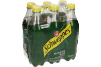 SCHWEPPES Ginger Ale Pet 2368 50 cl, 6 Stk.