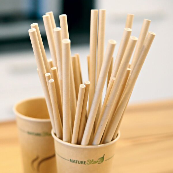 NATURE Star Paille en papier CLASSIC, 197 mm, blanc