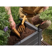 tera Fourche de jardin/fleurs Gaia 04, curry