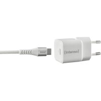 INTENSO Power Charger 30W GaN 1x USB-C 7803042 + Cable USB-C to USB C white