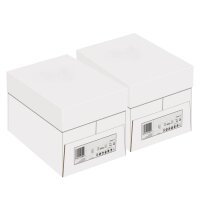 BASIC Papier Universel blanc A4 80g - 2 cartons (5000...