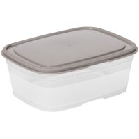 smartstore Frischhaltebox, 0,8 Liter, grau transparent