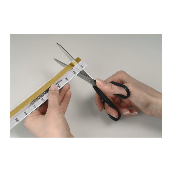 DURABLE Vollsicht-Reiter TABFIX, transparent, 3-zeilig