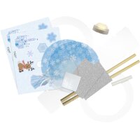 folia Kit lanterne à fabriquer Princesse des...