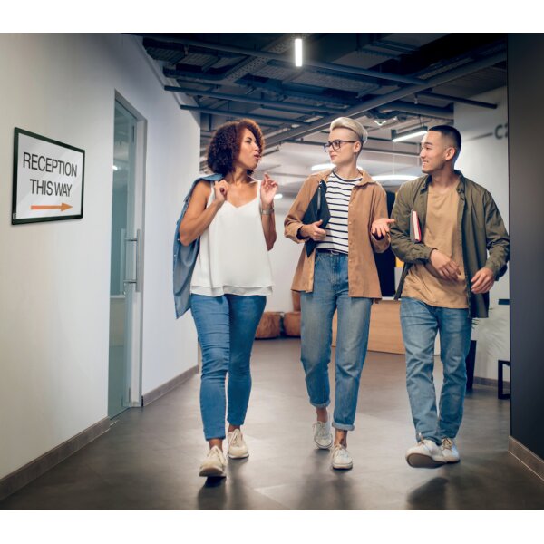 nobo Cadre magnétique, A3, noir