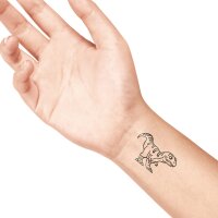 COLOP Pierre de tatouage LaDot kids paresseux, moyen