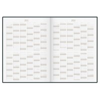 RIDOIDE 10 Jahresagenda 2027-2036 7022404017.27 1T/1S grau DE 21x29.1cm