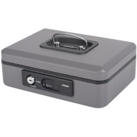 pavo Geldkassette Deluxe, silber, Breite: 250 mm