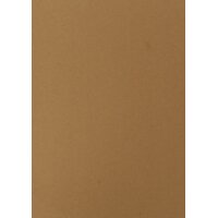 pavo Einbanddeckel ECO, DIN A4, sand